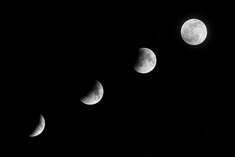 Moon Cake